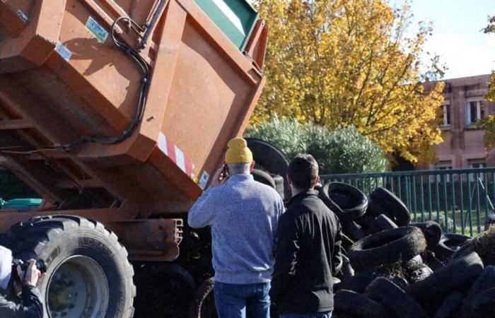 Diretto. La rabbia dei contadini. Il centro acquisti Carrefour di Colomiers sbloccato dalla polizia