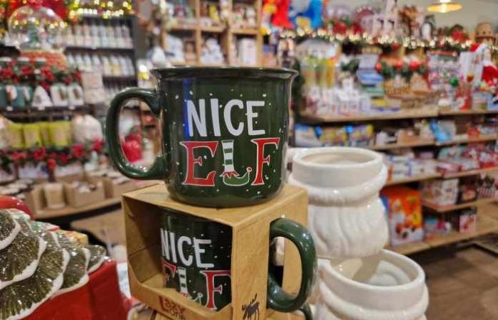 Seine-et-Marne: comincia a somigliare molto al Natale… A Bailly-Romainvilliers, The Store US & Canada a revêtu son manteau blanc !