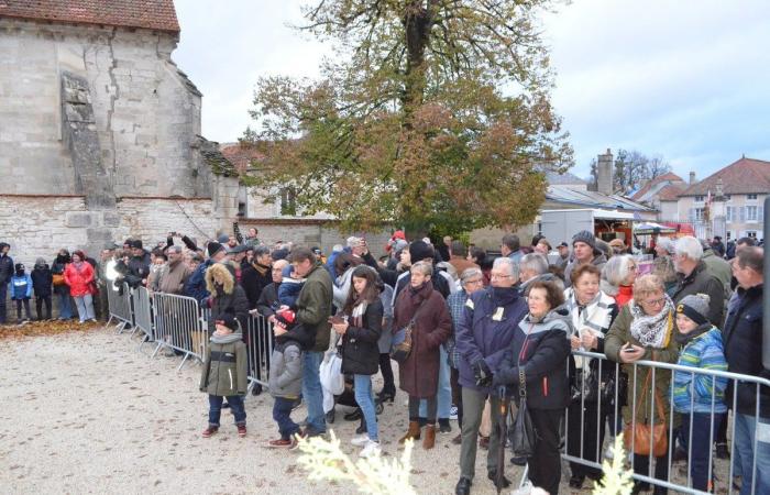 Ondata di freddo su Saint-Hubert ad Arc-en-Barrois