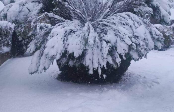 dopo la neve, molti residenti sono rimasti senza riscaldamento nell'Orne