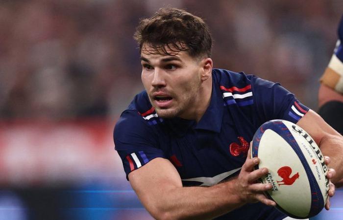 Francia – Argentina: a che ora e su quale canale seguire l'ultimo test match dei Blues in questo tour autunnale