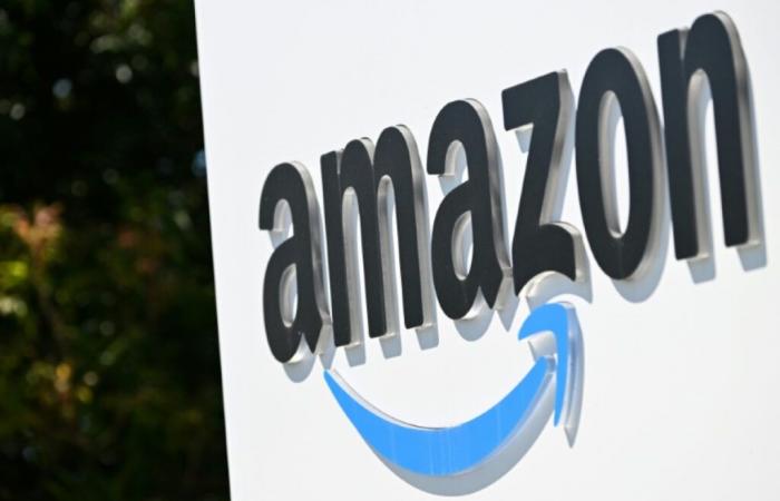 Amazon investe altri 4 miliardi di dollari in Anthropic – 22/11/2024 alle 18:18