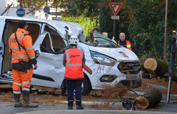 Tempesta Caétano: aggiornamento sulla situazione questo venerdì mattina nella Loira Atlantica e in Vandea