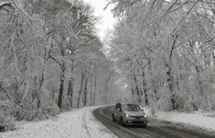 Tempesta Caetano: 200mila case senza elettricità, fine vigilanza arancione: Novità