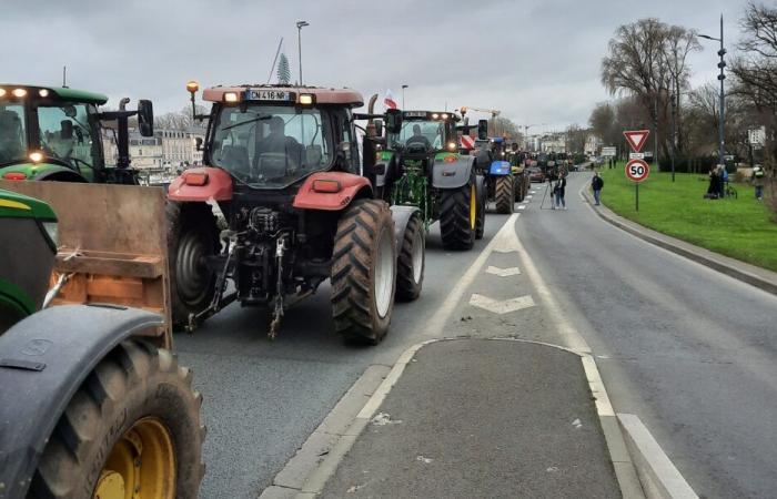 mobilitazione nel vecchio porto di La Rochelle – Angers Info