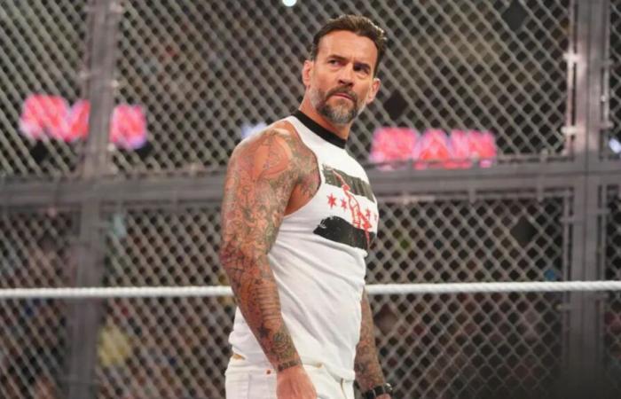 CM Punk nomina i wrestler che vuole affrontare in WWE