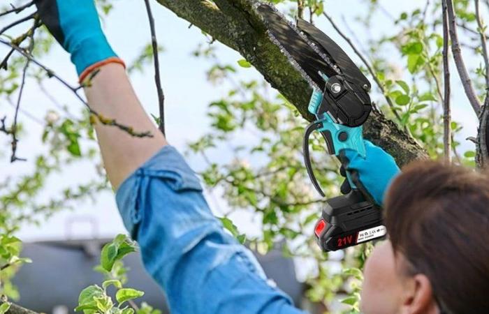 Buon affare in giardino: questa mini motosega è finalmente ai prezzi del Black Friday su Amazon