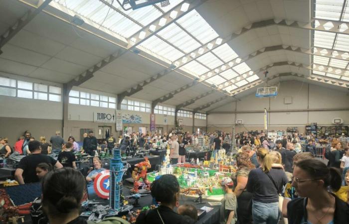 1.000 m2 di Lego® da scoprire durante un'esposizione vicino a Beauvais per tutto il fine settimana