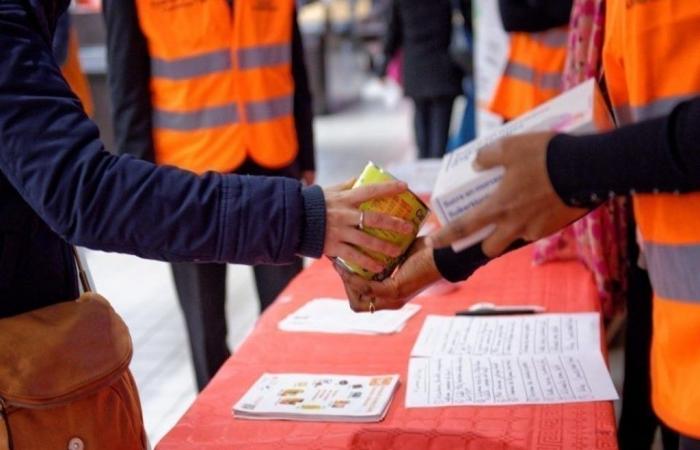 Questo fine settimana aprono 65 punti di raccolta