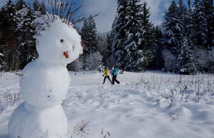 dove sciare o fare un bellissimo pupazzo di neve in Franca Contea?