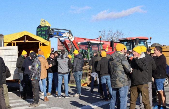 Diretto. La rabbia dei contadini. Il centro acquisti Carrefour di Colomiers sbloccato dalla polizia