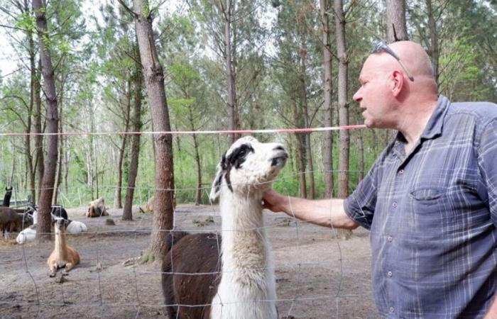 questo parco faunistico della Gironda cerca volontari in seguito ai danni