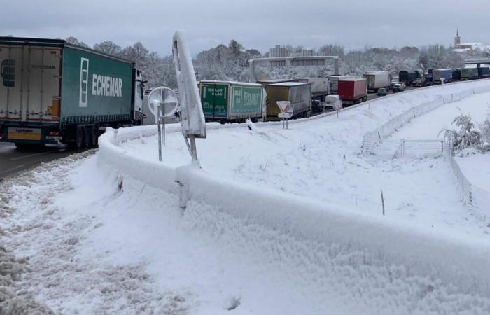 Tg delle 12:30 – Tempesta Caetano: camionisti hanno trascorso la notte in autostrada, senza aiuti né comunicazioni