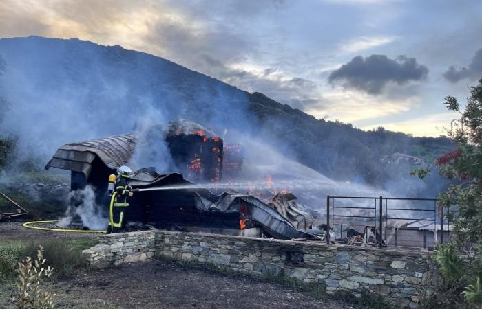 la coppia perde tutto in un incendio in casa