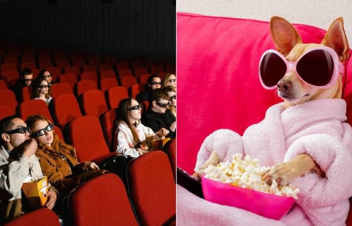 Un cinema apre le porte ai cani a Parigi a dicembre!