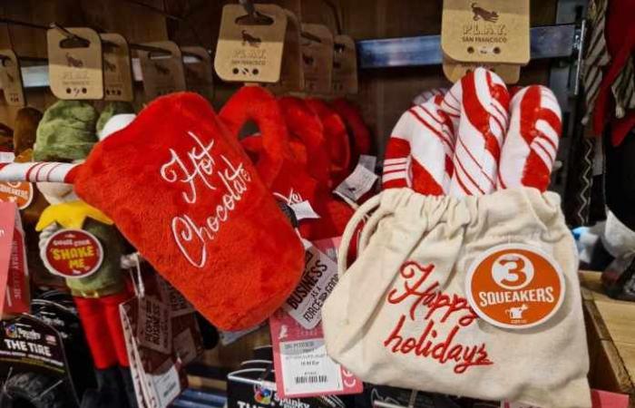 Seine-et-Marne: comincia a somigliare molto al Natale… A Bailly-Romainvilliers, The Store US & Canada a revêtu son manteau blanc !