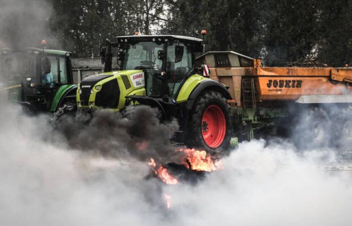 dopo gli annunci del governo, il coordinamento rurale annuncia la revoca del blocco del porto di Bordeaux – Libération