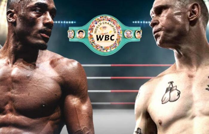 Bakary Samaké – Wade Ryan: come guardare l'incontro di boxe in streaming e live?