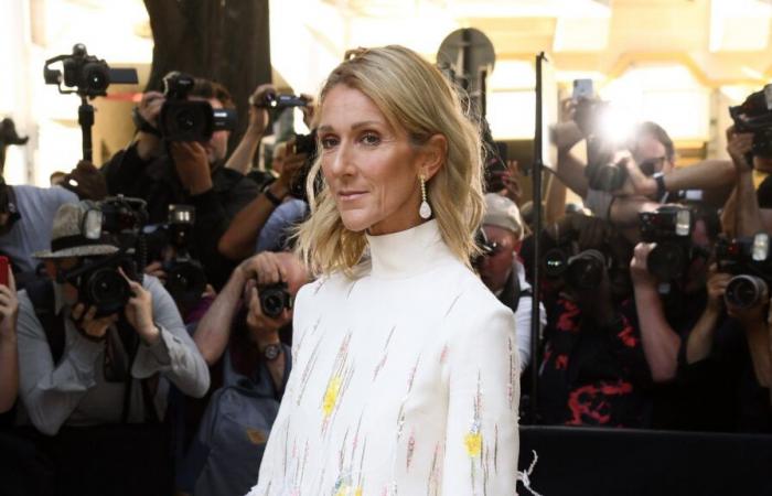 Celine Dion: scopri la lussuosa suite di 365 m² dove ha soggiornato con suo figlio in Arabia Saudita