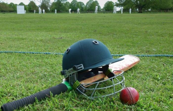 Le palle da cricket possono causare commozioni cerebrali e persino uccidere i battitori: a tutti i livelli, l’uso del casco deve essere preso sul serio