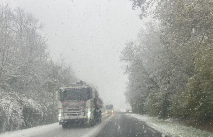 “Ho passato tutta la notte in macchina”: Thomas, 19 anni, bloccato dalla neve sull'autostrada A36