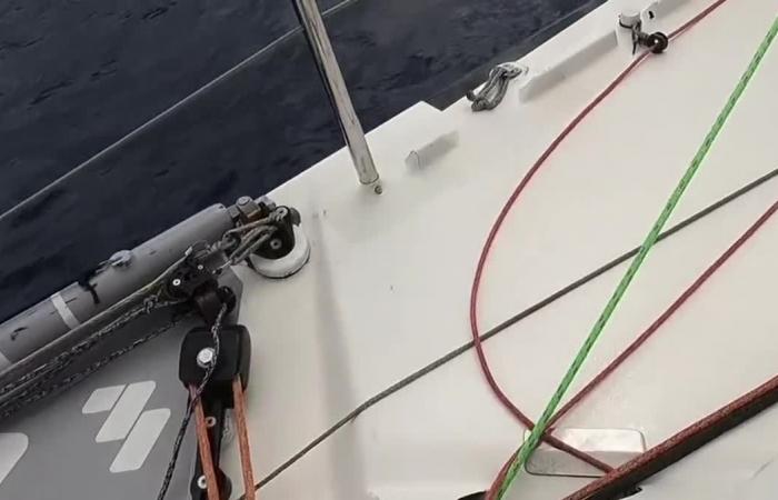 Impegnate nel Vendée Globe, impressionano, sempre in agguato, le donne non si arrendono