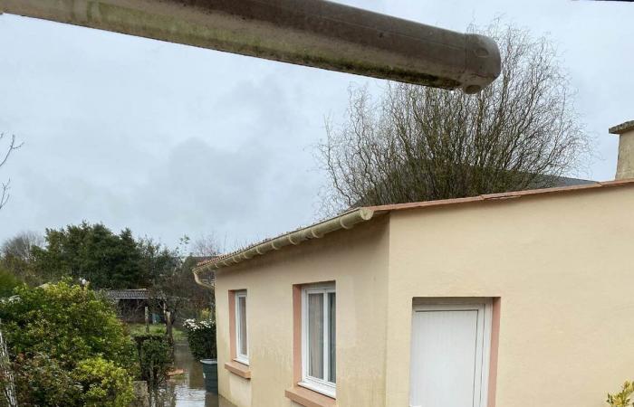 Un collettivo di Nantes contro un progetto edilizio in una zona alluvionale