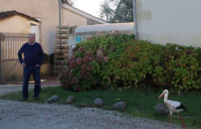 Uno strano abusivo si è insediato in questo quartiere della Gironda