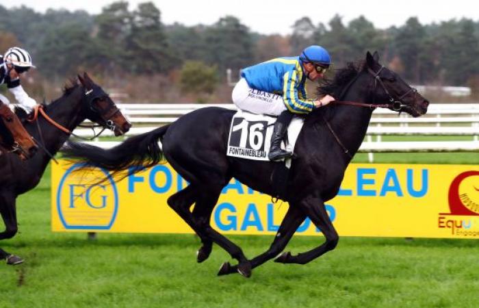 Fontainebleau: Premio Seine-et-Marne, GANASS domina i suoi predecessori nella Quinté della giornata