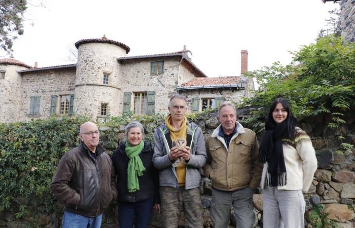 Nell'Alta Loira, la bella storia di questi fratelli di barbagianni caduti dal nido