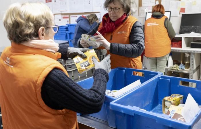 il Banco Alimentare di Parigi e dell'Île-de-France organizza la sua raccolta annuale