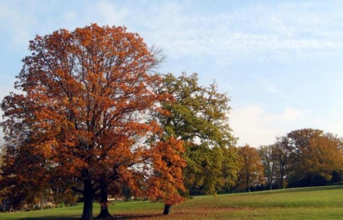 Aumento spettacolare delle temperature: +13°C entro domenica pomeriggio