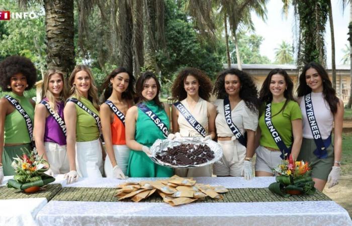 Miss Francia 2025: quanti errori commetteresti nel dettare il questionario di cultura generale?