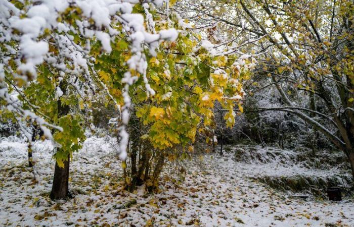 Tempesta Caetano: camionisti bloccati in autostrada, treni sospesi, scuolabus sospesi… il temporale ha provocato il caos, Météo-France avverte di un rischio “molto chiaro” di rigelo