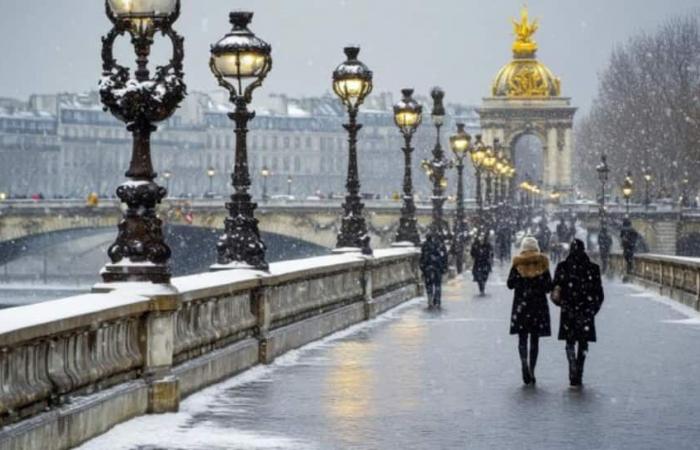 Forti nevicate provocano interruzioni di corrente e disagi al traffico in Francia | Notizie dal mondo