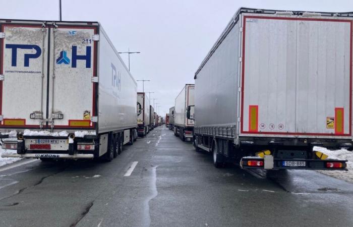 Bloccati sulla A36 per la neve: “Ci avevano detto che la gente sarebbe passata con il caffè, aspettiamo ancora”