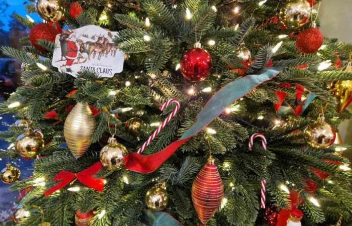 Seine-et-Marne: comincia a somigliare molto al Natale… A Bailly-Romainvilliers, The Store US & Canada a revêtu son manteau blanc !