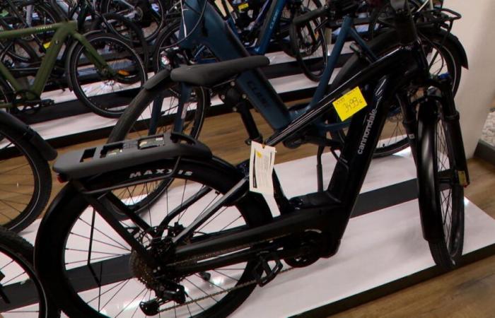 “Uno sconto molto bello”: i prezzi delle biciclette sono in forte calo, per quale motivo?