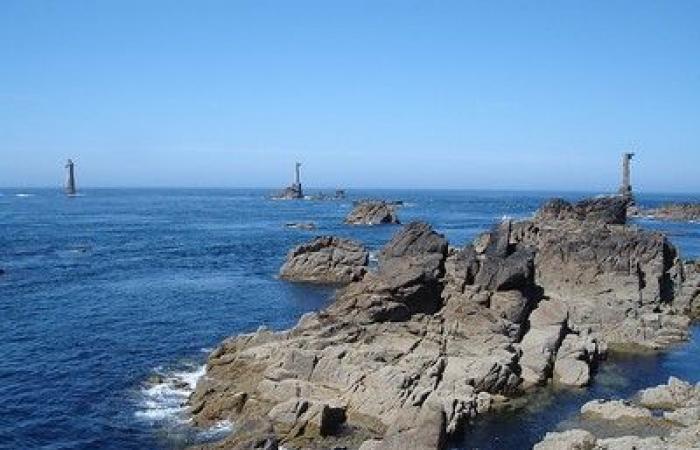 Finistère: un'aragosta dorata, esemplare rarissimo, pescata sull'isola di Ouessant