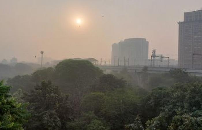 a Nuova Delhi, in India, la rabbia dei genitori per l'inquinamento atmosferico