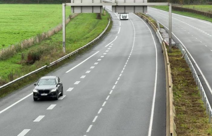 l'automobilista, positivo agli stupefacenti, è stato posto in custodia di polizia