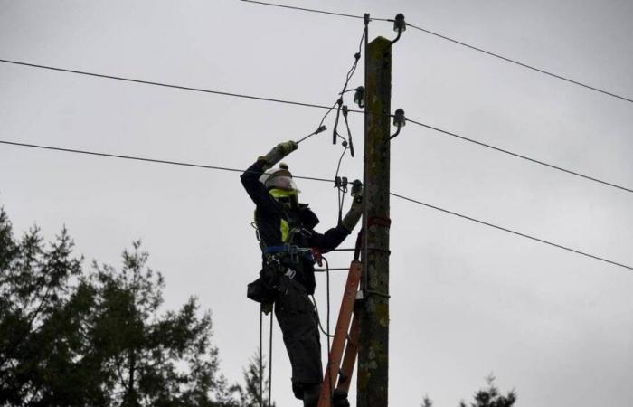 sul posto è stato inviato un elicottero