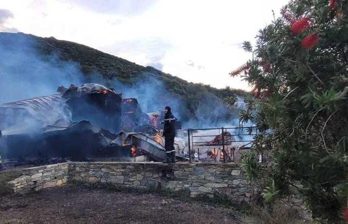 la coppia perde tutto in un incendio in casa