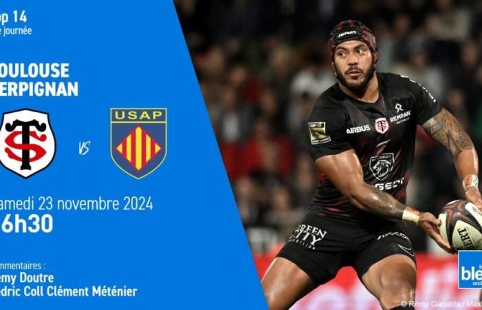 LIVE – Top 14: Lo Stade Toulousain riceve il Perpignan per mantenere il controllo del campionato