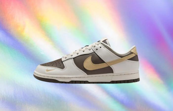 A un prezzo del genere, gli appassionati di sneaker si accaparreranno questo modello Nike Dunk Low (-30%)