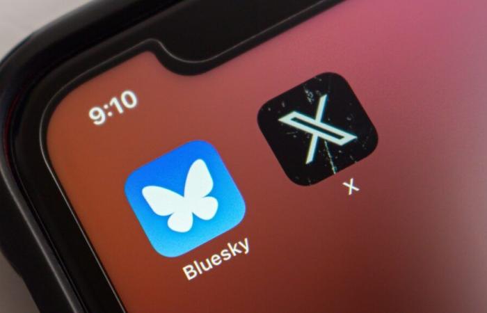 Da X (ex-Twitter) a Bluesky, tutti gli strumenti e i consigli che devi conoscere per una migrazione di successo