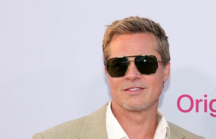 Brad Pitt sporge denuncia contro un comico ed editorialista francese per Laurent Ruquier