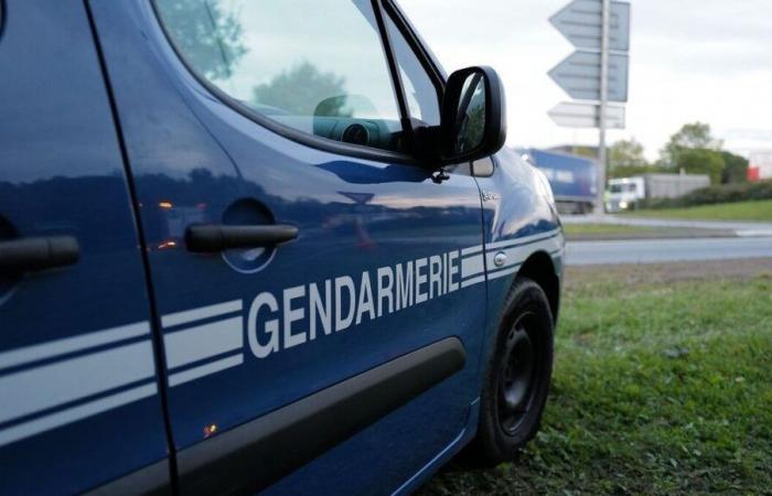 Spari, violenze: arrestato un minorenne di 15 anni del Pays de Retz dopo due aggressioni violente