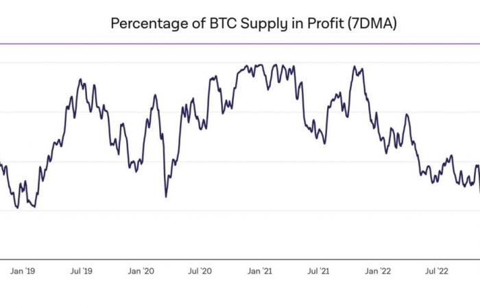 Bitcoin il 23 novembre – 99% degli operatori in profitto su BTC, è tempo del rialzo finale?