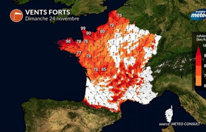 Meteo domenica 24 novembre: spettacolari schiarite miti, ma attenzione al vento violento